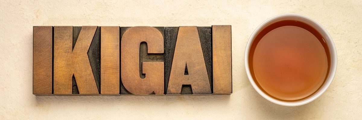 İkigai ile Hayat Amacı