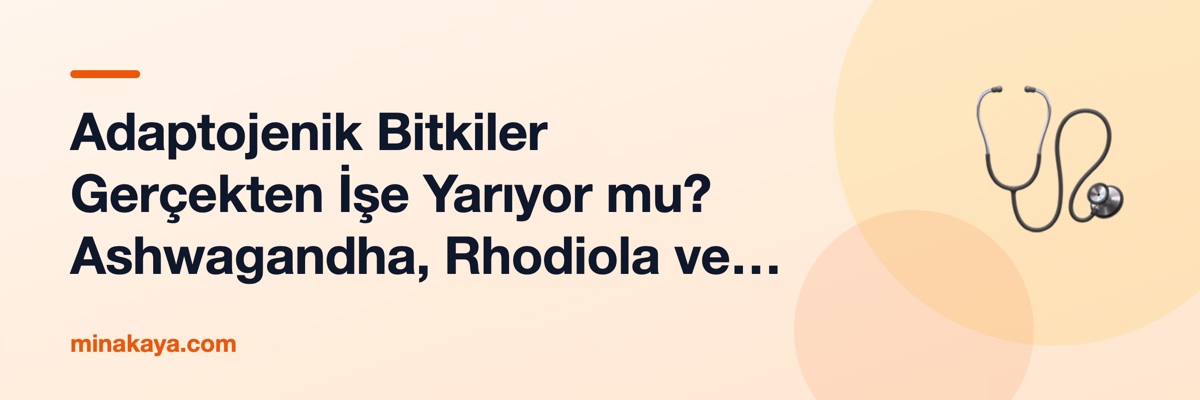 Adaptojenik Bitkiler Gerçekten İşe Yarıyor mu? Ashwagandha, Rhodiola ve Reishi Karşılaştırması
